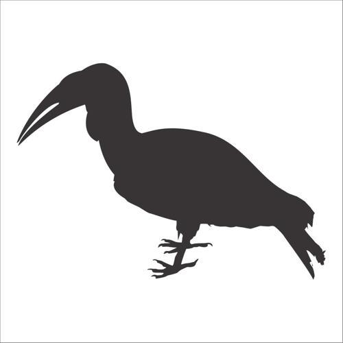 KUŞ FOLYO STİCKER 100cm Uzunluk