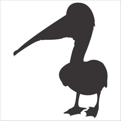 KUŞ FOLYO STİCKER 160cm Uzunluk