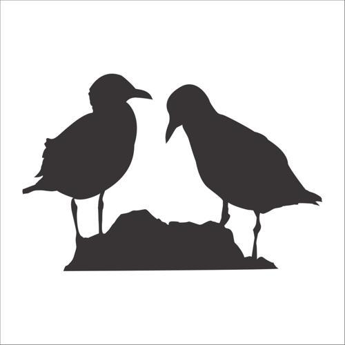 KUŞ FOLYO STİCKER 60cm Uzunluk