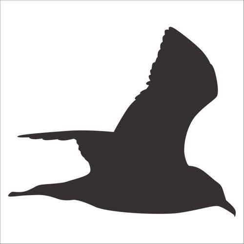 KUŞ FOLYO STİCKER 60cm Uzunluk