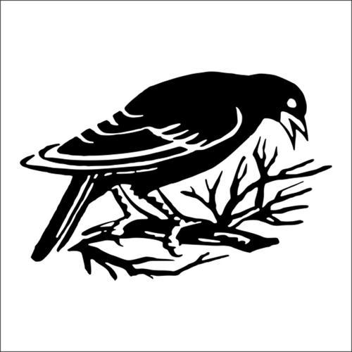 KUŞ FOLYO STİCKER 60cm Uzunluk