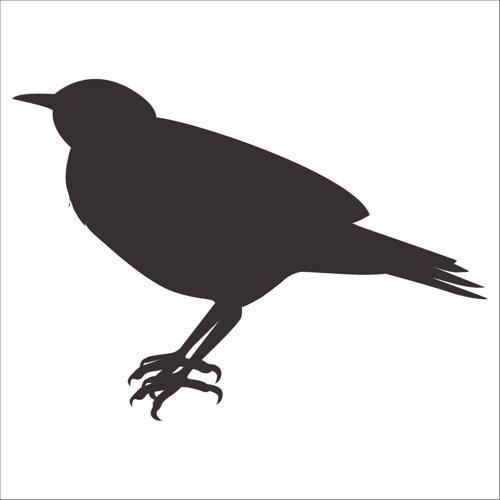 KUŞ FOLYO STİCKER 80cm Uzunluk