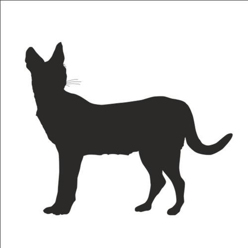 VAŞAK FOLYO STİCKER 200cm Uzunluk