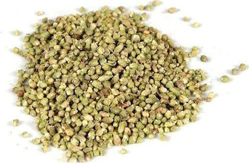 Tane Kekik 100 Gr