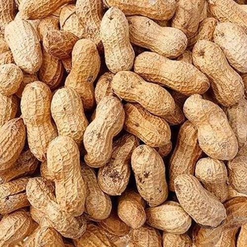 Kabuklu Yer Fıstığı 1 Kg