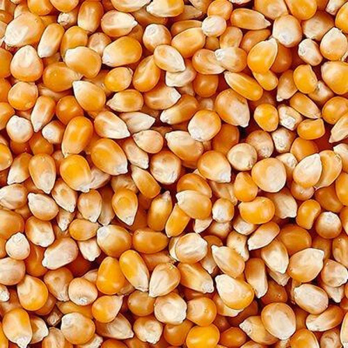 Popcorn 500 Gr