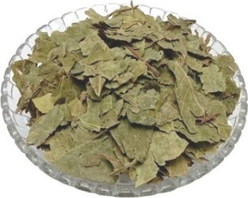 Ayva Yaprağı 100 Gr