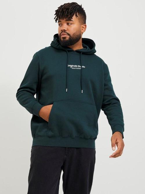 Erkek Sweatshirt 12244912