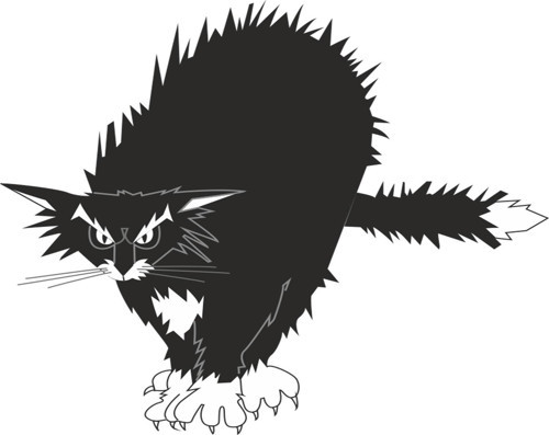 KEDİ FOLYO STİCKER 50cm Uzunluk