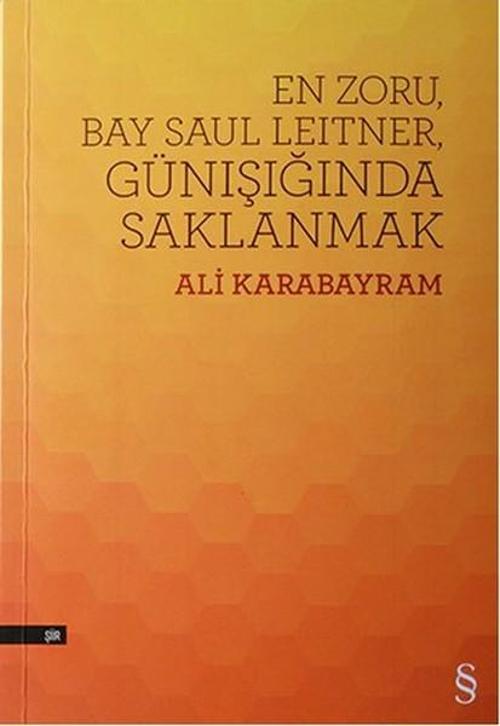 En Zoru Bay Saul Leitner Günışığında Saklanmak