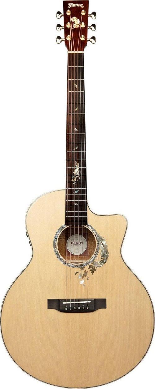 Wing 950 TF-S3 Elektro Akustik Gitar