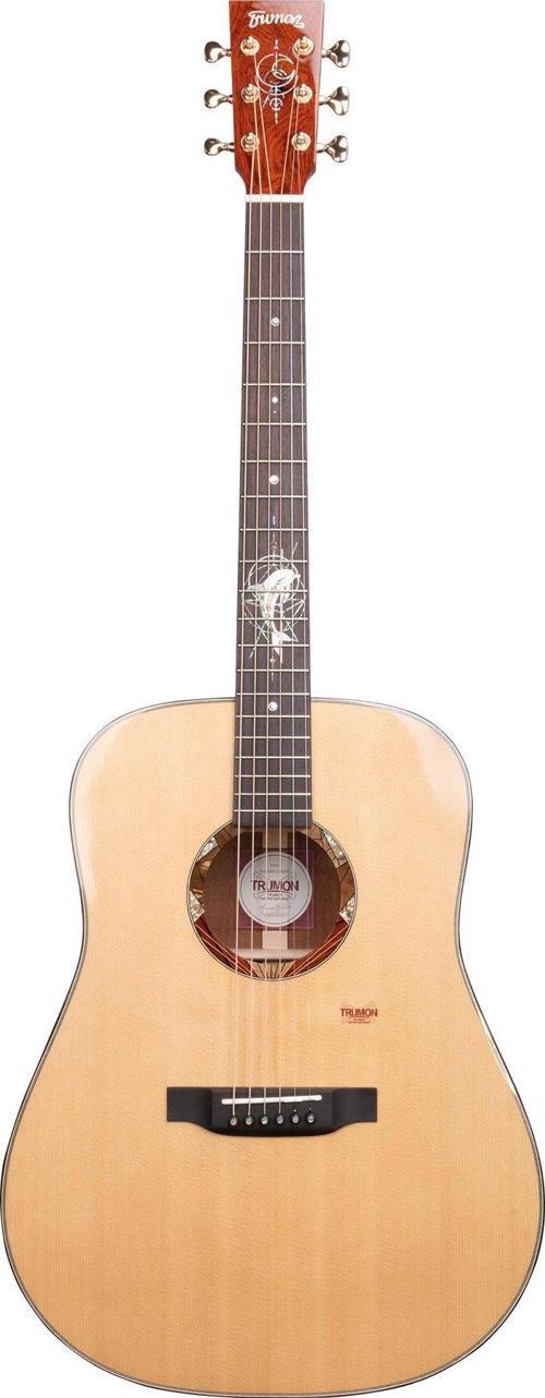 Dolphin 1955D Akustik Gitar