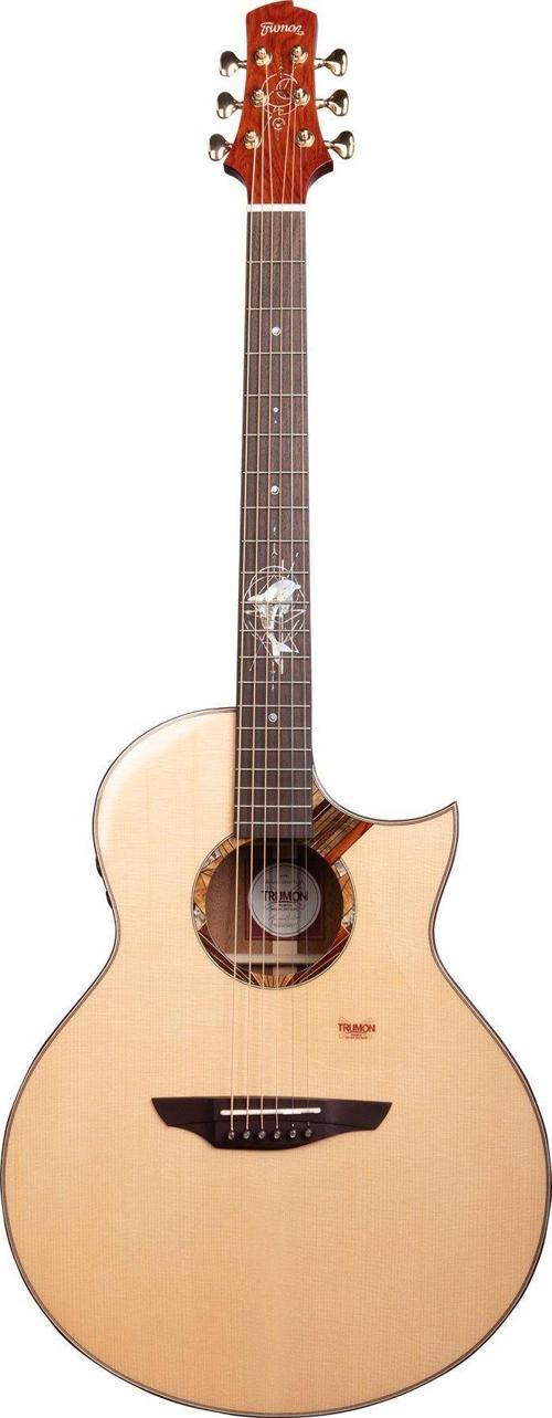 Dolphin 1955 TFC-S3 Elektro Akustik Gitar