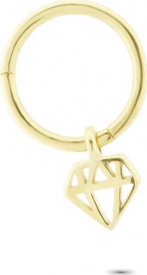 Altın Elmas Halka Piercing