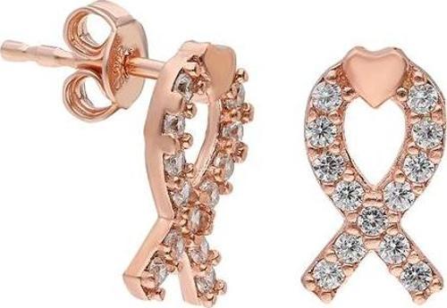 Gümüş Balık Küpe