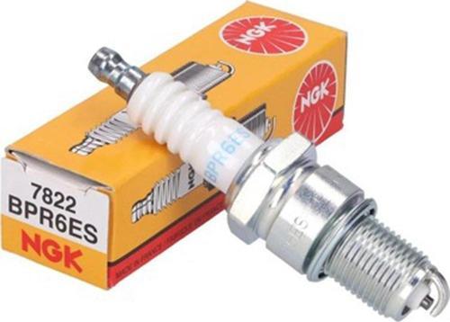 Marine Buji Mercury - Bpr6Es