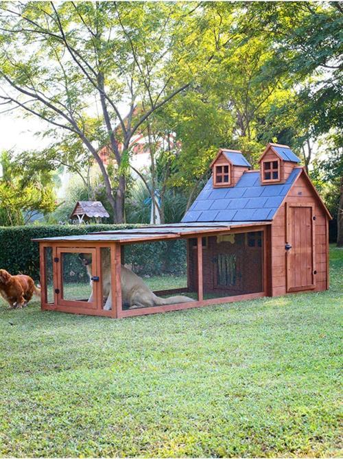 Bahçeli Ultra Lüks Ahşap Köpek Kulübesi (Evi)