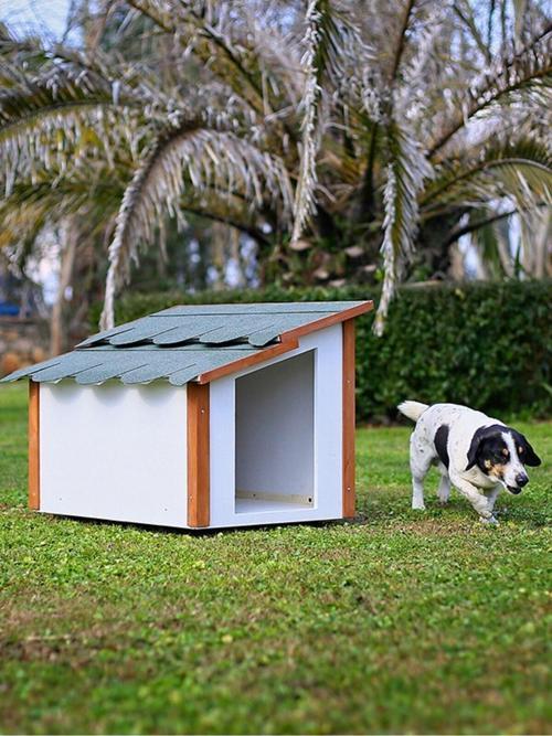Standart Köpek Kulübesi
