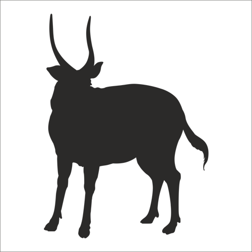 GEYİK FOLYO STİCKER 50cm Uzunluk