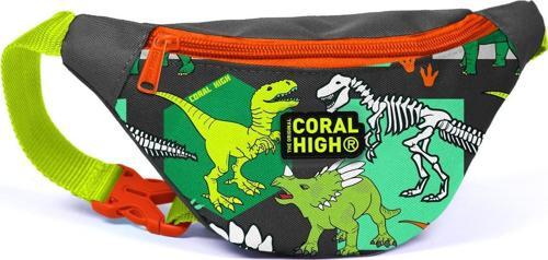 Kids Gri Yeşil Dinozor Desenli Bel Çantası 12630