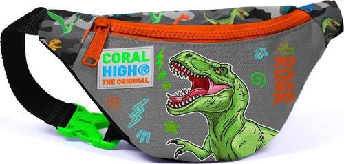 Kids Siyah Gri Dinozor Desenli Bel Çantası 12616