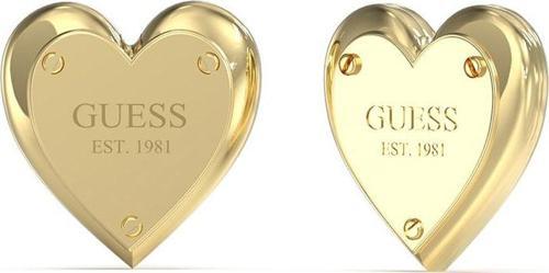 JGUJUBE04209JWYGTU Kalpli Kadın Küpe