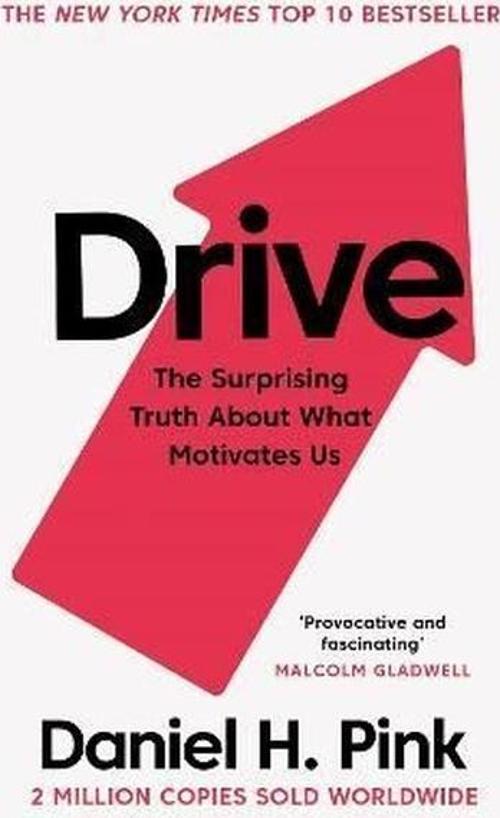 Drive : The Surprising Truth About What Motivates Us