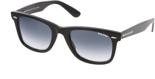 2388 54 22 150 01 ERKEK GÜNEŞ GÖZLÜĞÜ