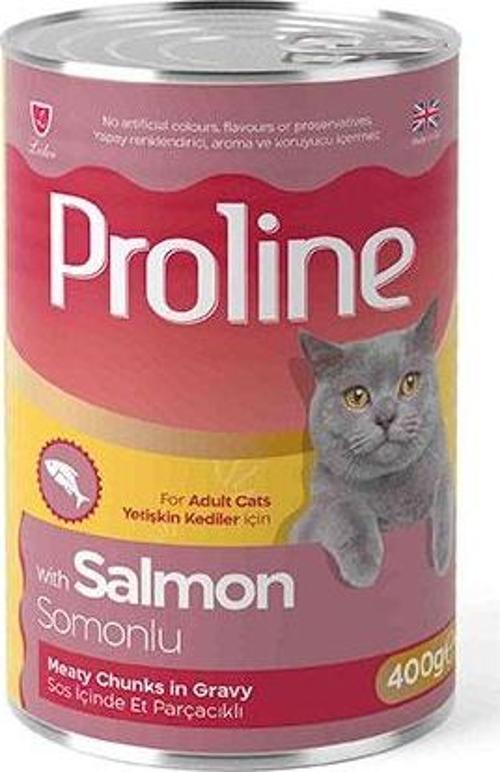 Somon Etli Sos İçinde Gravy Yetişkin Kedi Konservesi 12 Adet 400 Gr
