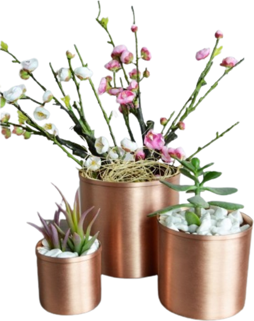 Bahar Saksı 3'lü Takım Düz Skoç Turna2567-4