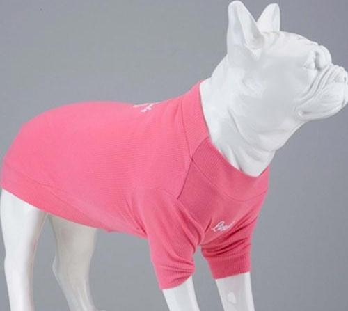 Cotton Candy Tshirt Köpek Kıyafeti Beden 6