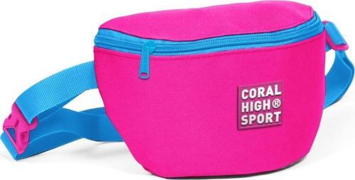 Sport Pembe.A.Mavi İki Bölmeli Bel Çantası