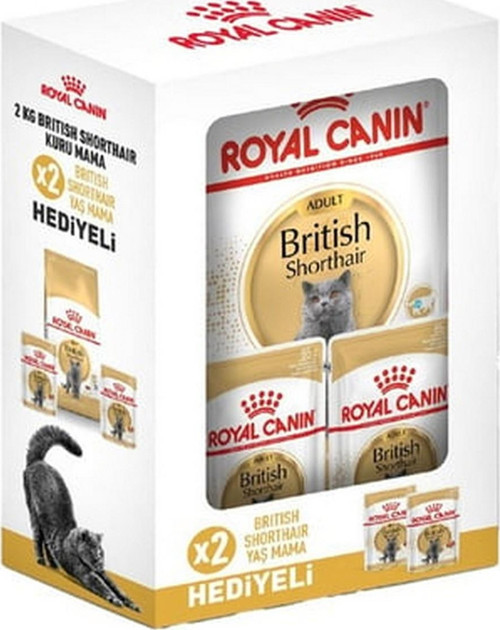 ® British Shorthair Yetişkin Kedi Maması 2 Kg + 2 Adet Yaş Mama Hediyeli