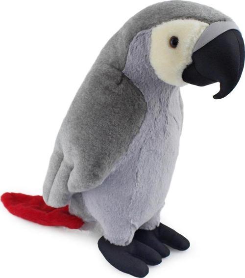 Gri Papağan 35 cm
