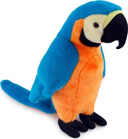 Turkuaz Papağan 35 cm