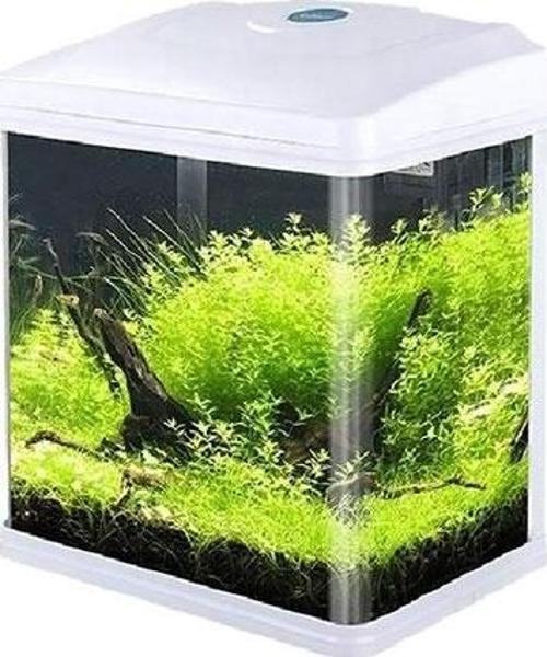 Komple Akvaryum 24 x 16,5 x 28 cm Beyaz