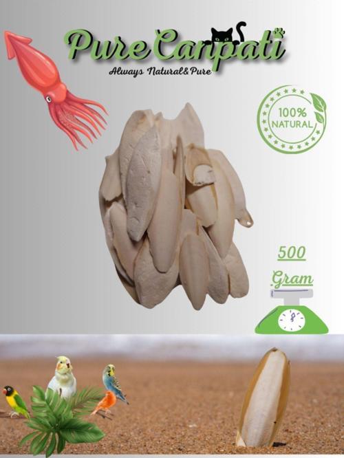 Kalamar Kemiği Mürekkep Balığı Kemiği 500gr Kırıklı Ve Ufak Boy Kalamar Kemiği 500 Gram