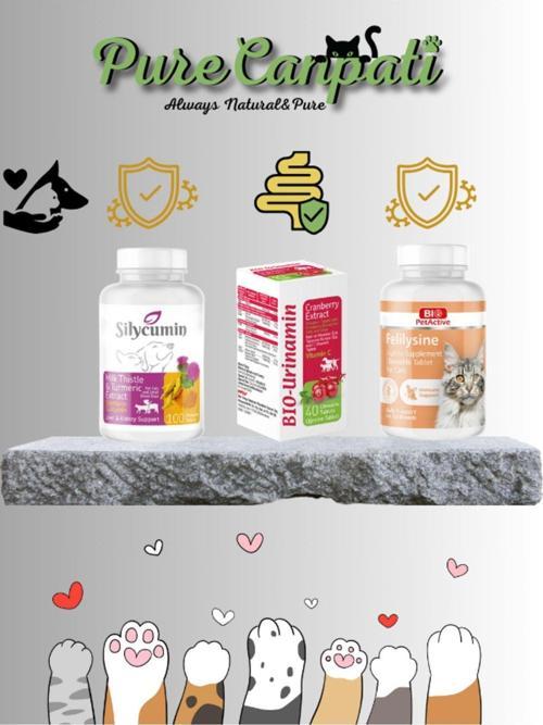 Kedi Destek Grubu Seti(felilysine,Bio Urinamin, Silycumin)