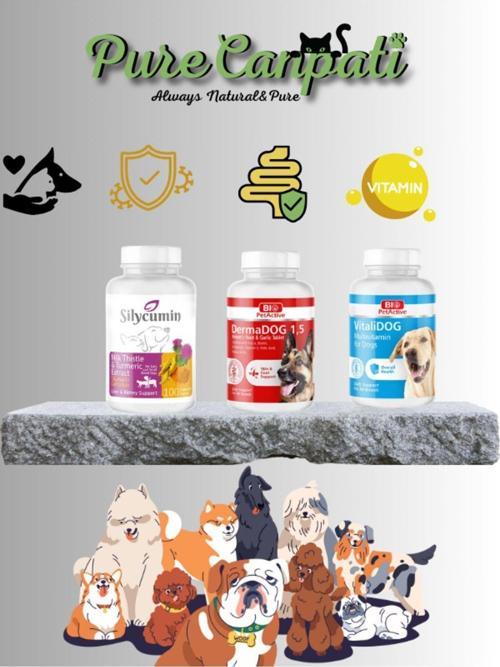 Köpek Vitamin,Tüy Bakım Destek Seti(Silycumin,Dermadog ,Vitalidog)