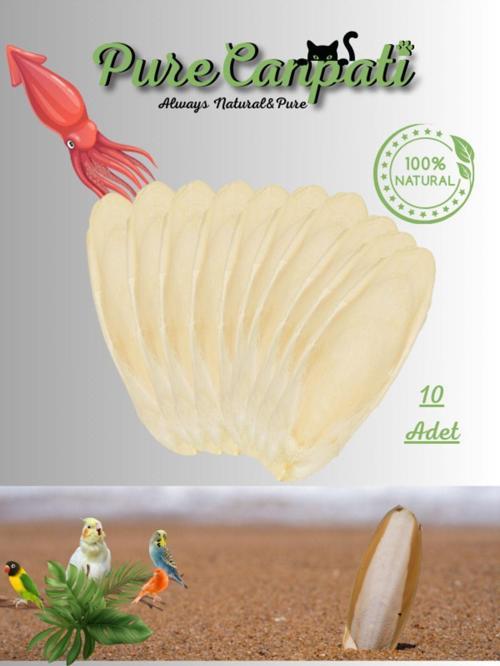 10 Adet Küçük Boy Kalamar Kemiği (7-8cm) Mürekkep Balığı Kemiği Ve Tutacak