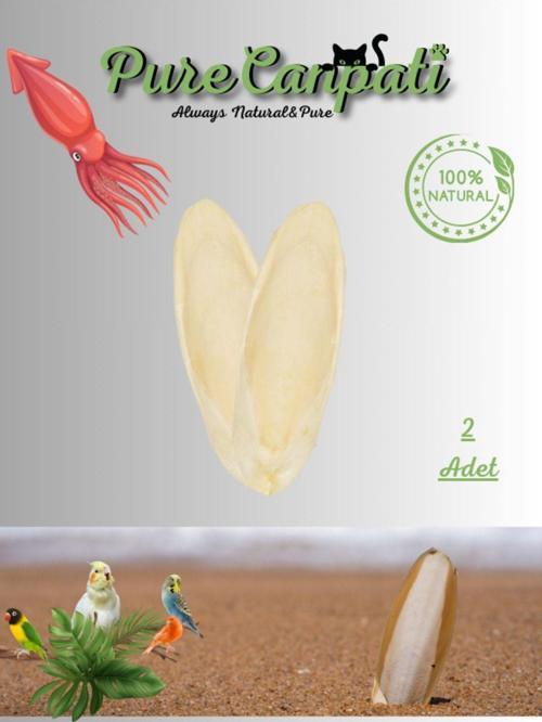 2 Adet Temizlenmiş Küçük Boy Kalamar Kemiği (7-8cm) Mürekkep Balığı Kemiği Ve Tutacak