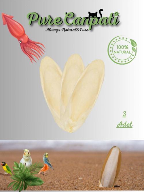 3 Adet Temizlenmiş Mürekkep Balığı (kalamar) Kemiği 7-8cm Ve Kalamar Kemiği Tutacak