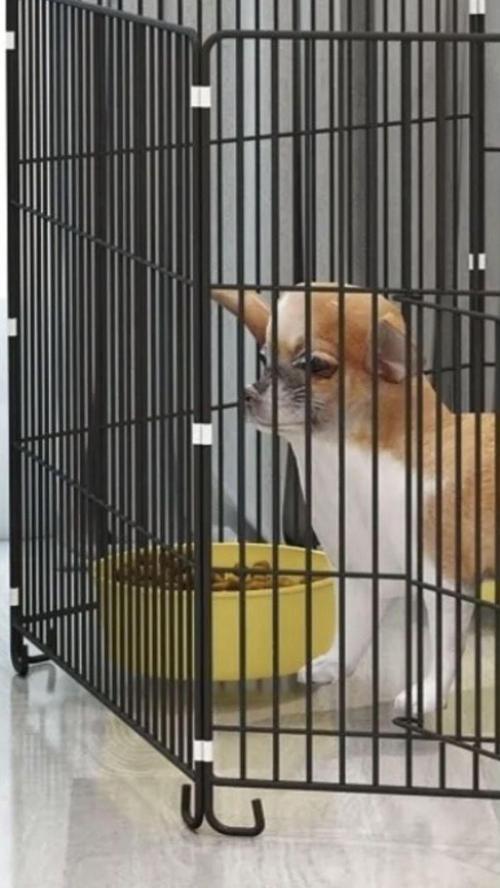 Kedi Köpek Tavşan Çiti Oyun Alanı Bağlantı Aparatı