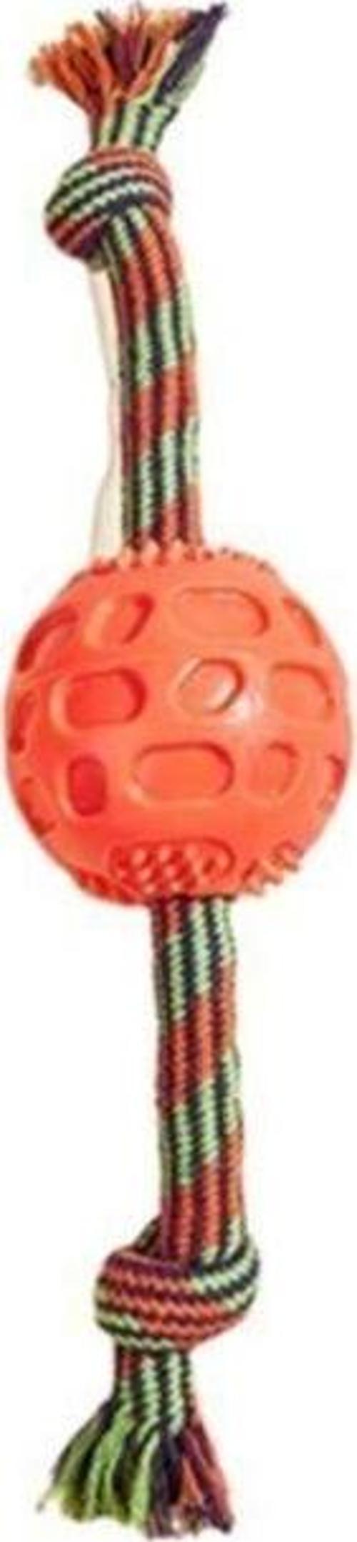 Plastk Toplu Ipli Köpek Oyuncak 37Cm Zdt2153
