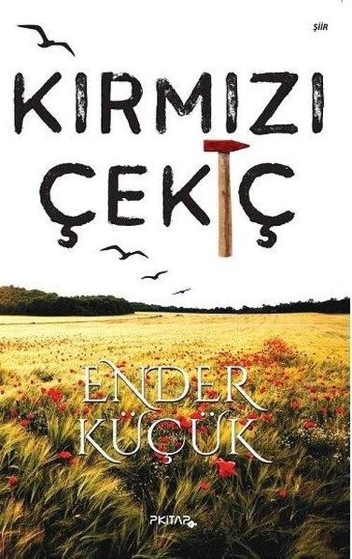 P Kitap Yayıncılık Kırmızı Çekiç