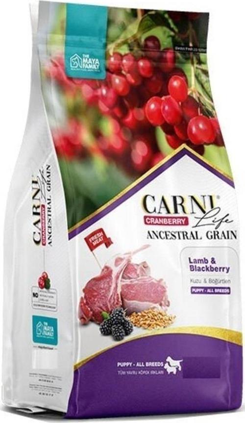 Carni Dog Puppy Kuzu Etli Bögürtlenli Tüm Irklar Için Köpek Maması 12 Kg
