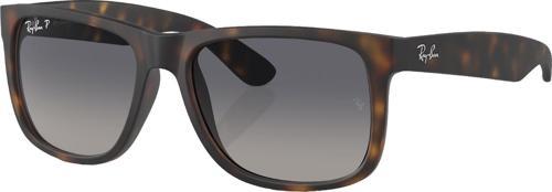 RB4165 865/8S 54 Polarize Unisex Güneş Gözlüğü