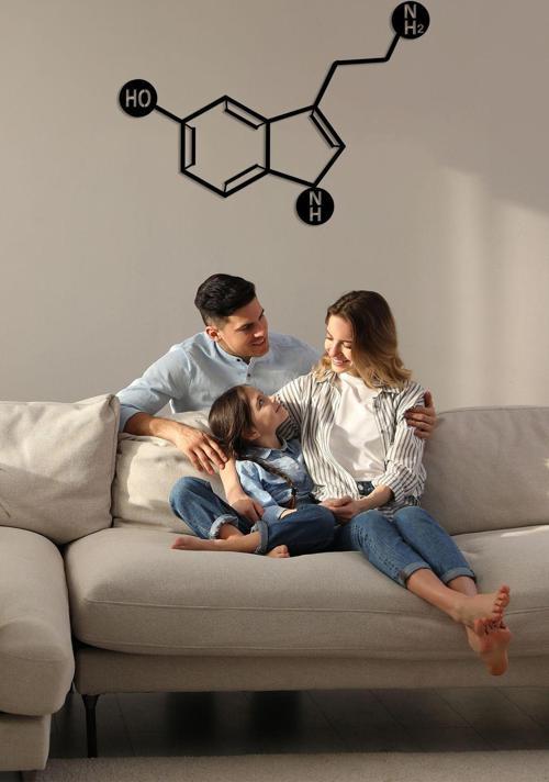 Serotonin Metal Duvar Dekoru