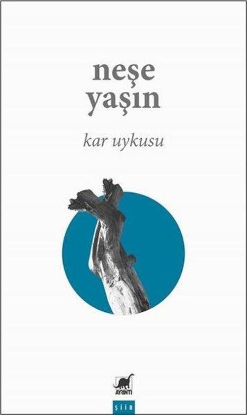 Ayrıntı Yayınları Kar Uykusu
