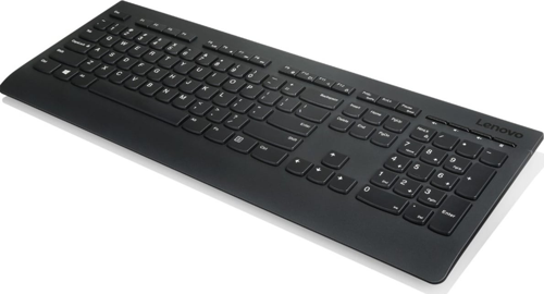 Professional Wireless Klavye Arapça - 4X30H56842